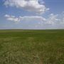 Rydell Ranch