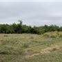 Ward Ranch