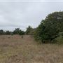 Ward Ranch