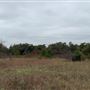 Ward Ranch