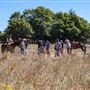 Ward Ranch