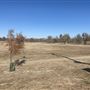 Eldon Lyon Park