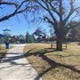 Cecil Mendenall Library Park