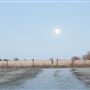 Working Ranch & Farm in Ponca City