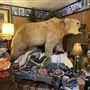 Where The Buffalo Roam Boutique