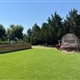 Nellis Vineyards