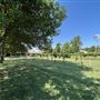 Nellis Vineyards
