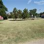 McKinney Seasonal Christmas Tree Farm & Pasture