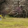 Collinsville City Park