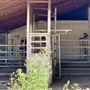 Long Farm (AT)