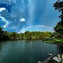 Oak Spring Retreat