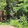 Stryker Park