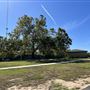 Chandler Park
