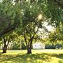 Harn Homestead Museum