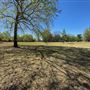 Beckman Park