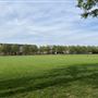 University of Tulsa