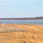 RC Longmire Lake