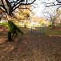 Dewberry Park