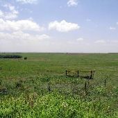 McKinley Ranch