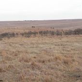 Hughes Ranch