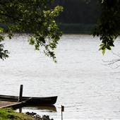 Raymond Gary State Park