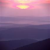 Ouachita National Forest