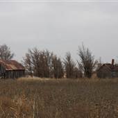 Abandoned Barn