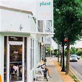 Plant