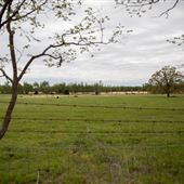 W 675 Rd Farm