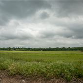 N 97th E Ave Landscape