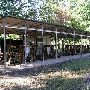 Camp Hale Scout Reservation