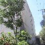 Diamond Building