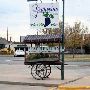 Grape Vine Café