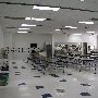 Ida Freeman Elementary School