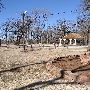 Mineral Wells Park