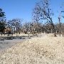 Mineral Wells Park