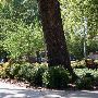 Oklahoma Baptist University