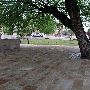 Oklahoma City National Memorial & Museum