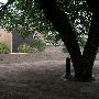 Oklahoma City National Memorial & Museum