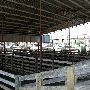 Oklahoma City Stockyards