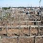 Oklahoma City Stockyards