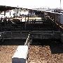 Oklahoma City Stockyards