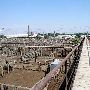 Oklahoma City Stockyards