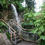 Myriad Botanical Gardens
