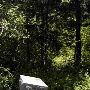 Wright's Cemetery