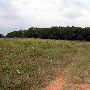 Tatanka Ranch