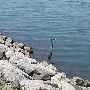 Lake Hefner