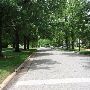 Mesta Park Historical Neighborhood