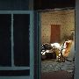 Boarding House