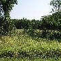 Amen Farm